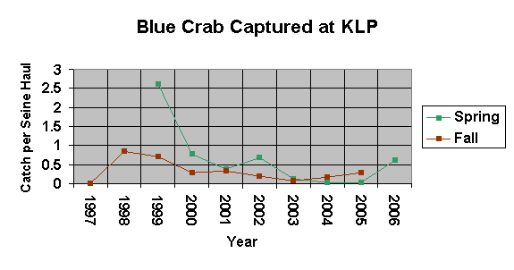 A graph of blue crabs found from 1999-2006