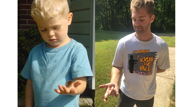 Picture showing boy with cicada in 2004 and 2021.