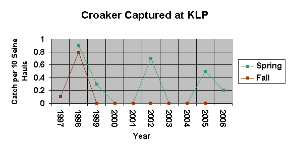 A graph showing the amount of croaker caught from 1997-2006