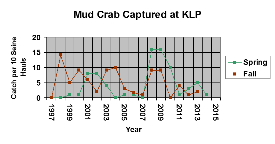 A graph showing the number of mud crab caught from 1997-2015