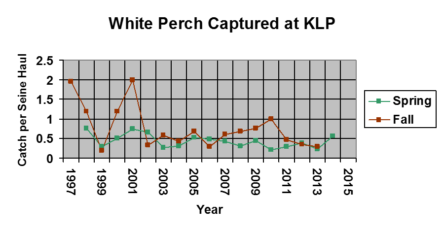 A graph showing the amount of white perch caught from 1997-2015