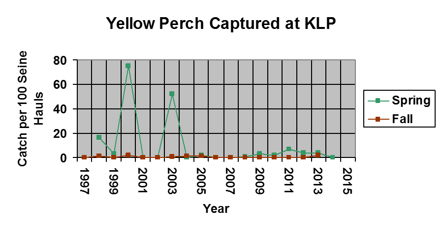A graph of yellow perch caught during 1997-2015