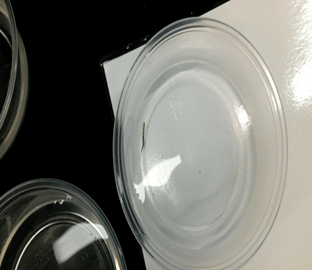 Type of aquatic insect.