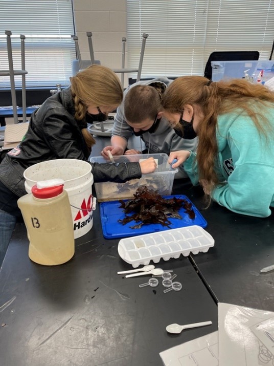 Students working on a science lab.