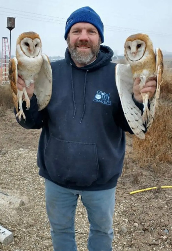 Man with owls
