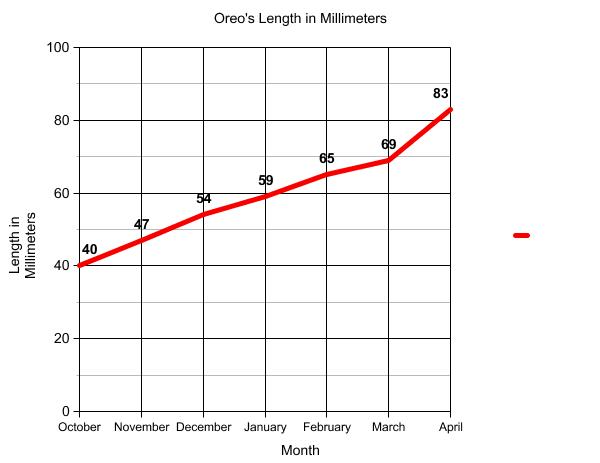 Graph of terrapin length.