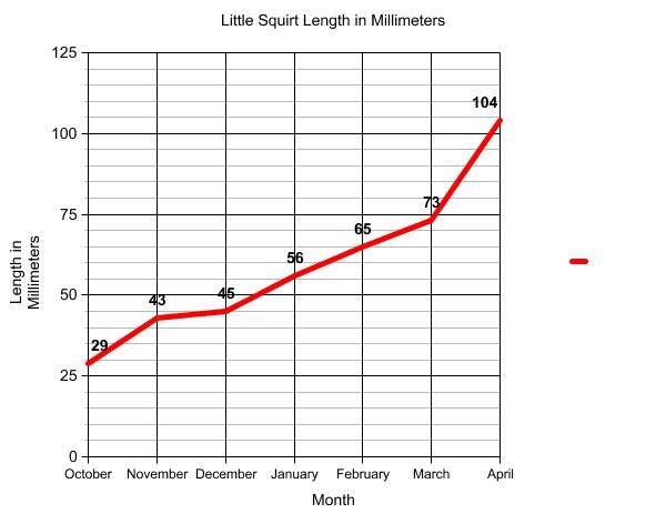 Graph of terrapin length.