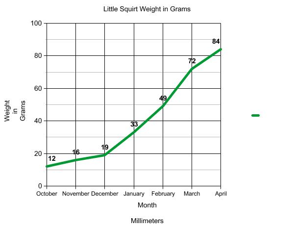 Graph of terrapin weight.