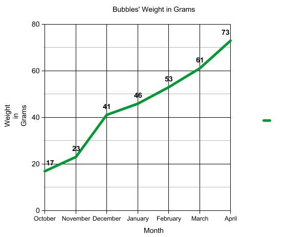 Graph of terrapin weight.