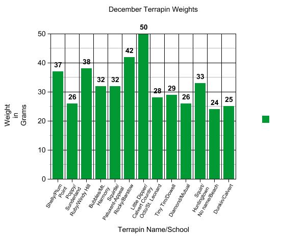Graph of terrapin weight.