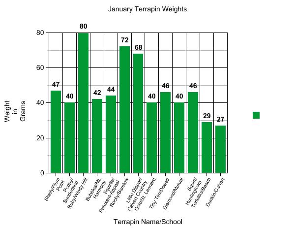 Graphing showing weights of terrapins for January.
