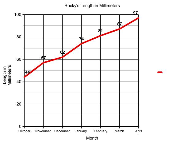 Graph of terrapin length.