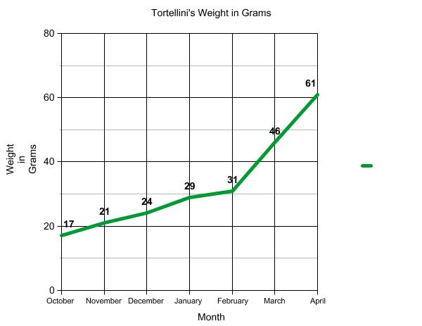 Graph of terrapin's weight.