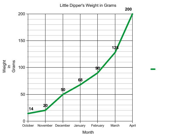 Graph of terrapin weight.