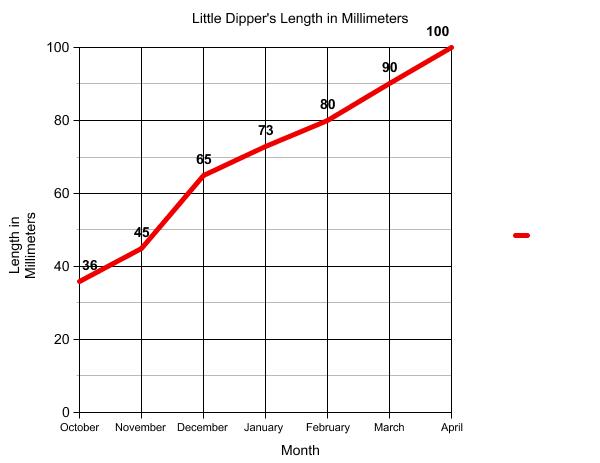 Graph of terrapin length.