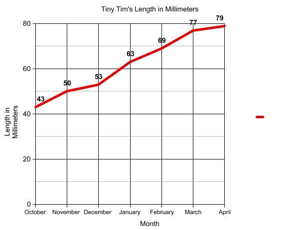 Graph of terrapin length.