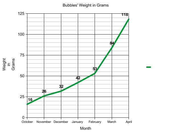Graph of terrapin weight.