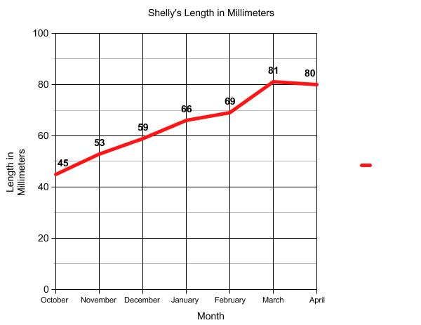 Graph of terrapin length.