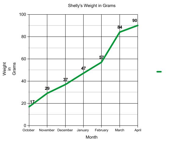 Graph of terrapin weight.