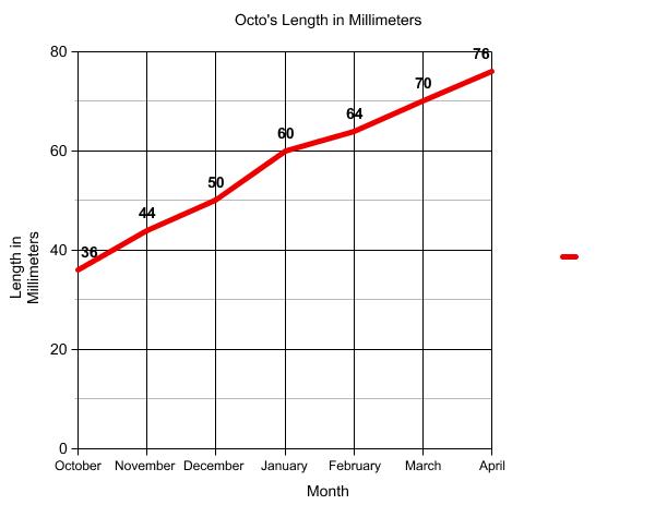 Graph of terrapin length.