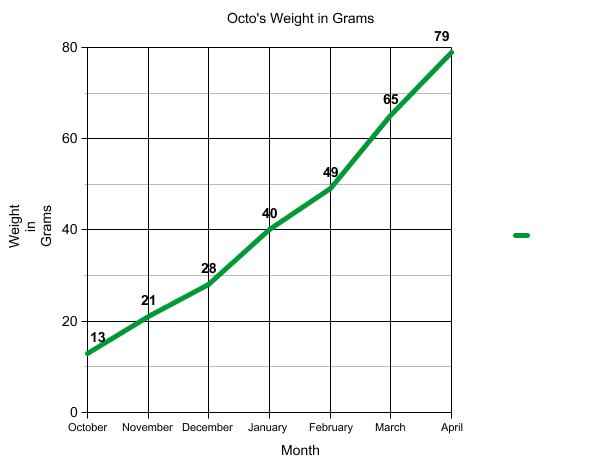 Graph of terrapin weight.