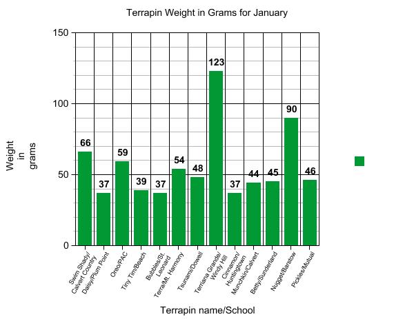 Graph of terrapin weight.