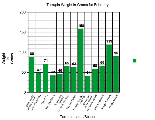 Graph of terrapin weights.