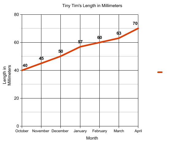 Graph of terrapin length.