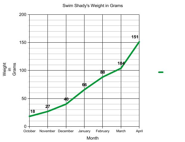 Graph of terrapin weight.