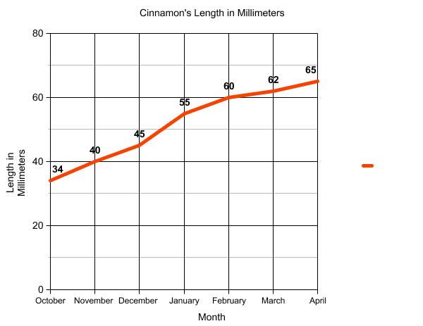 Graph of terrain length.