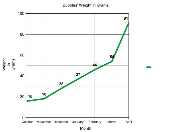 Graph of terrapin weight.