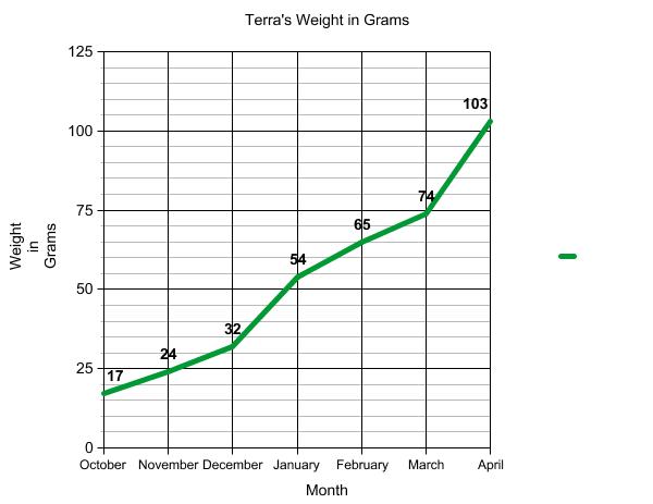 Graph of terrapin weight.