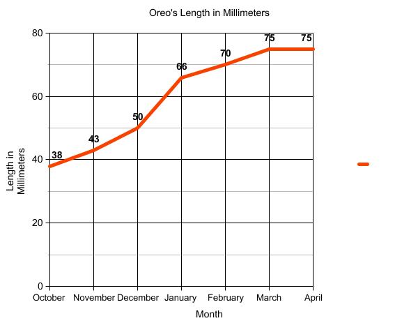 graph of terrapin length