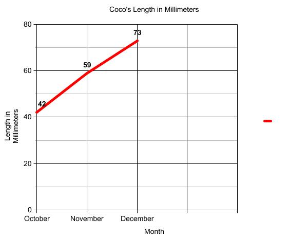 Graph of terrapin length.