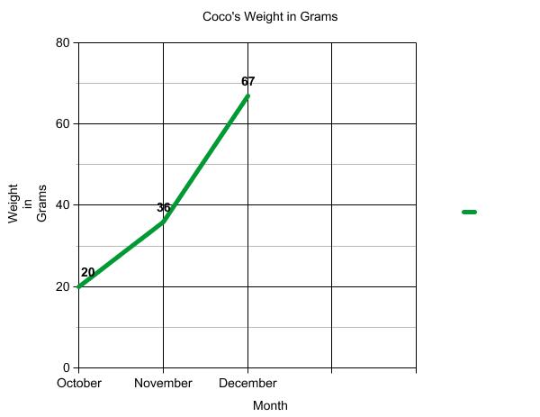 Graph of terrapin weight.
