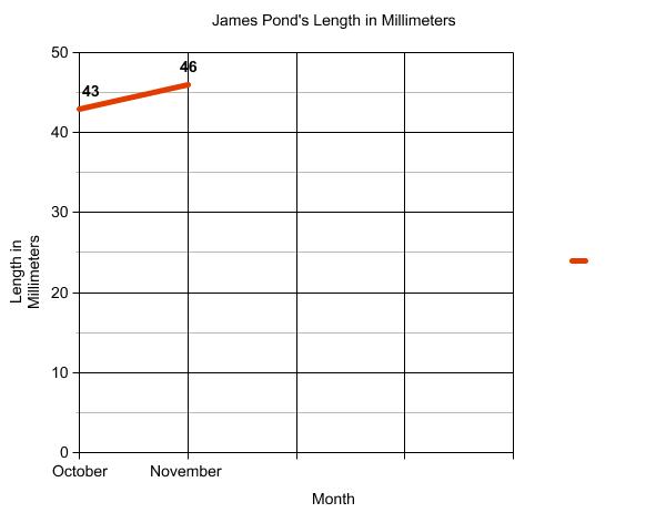 Graph of terrapin length.