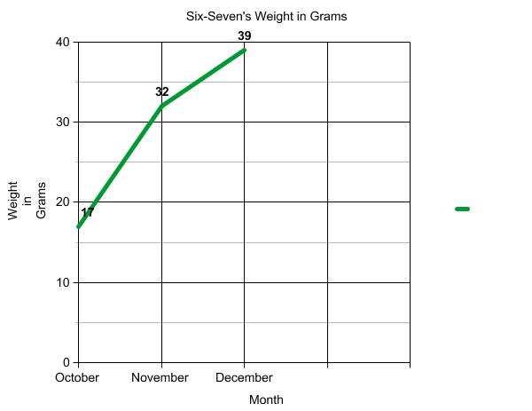 Graph of terrapin weight.