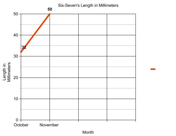 Graph of terrapin length.