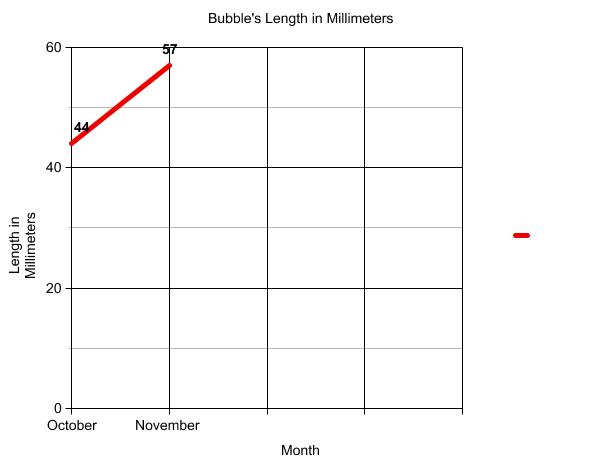 Graph of terrapin length.