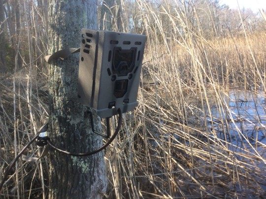 Picture of a trail camera.