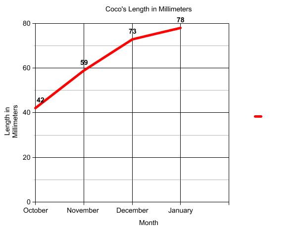 Graph of terrapin length.