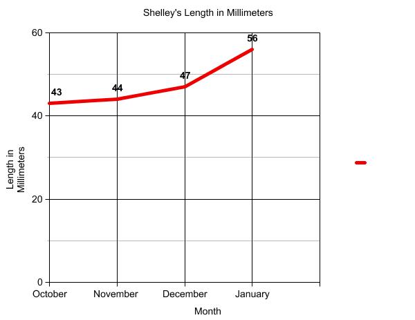 Graph of terrapin length.