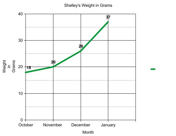 Graph of terrapin weight.