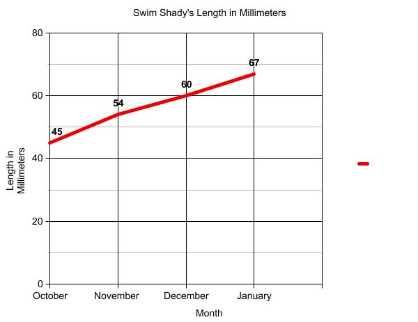 Graph of terrapin length.
