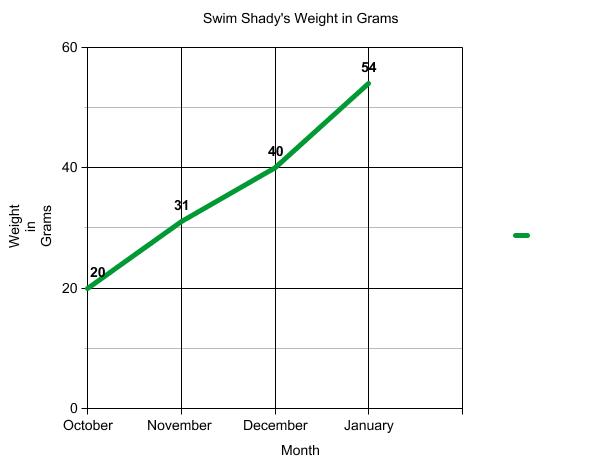Graph of terrapin weight.