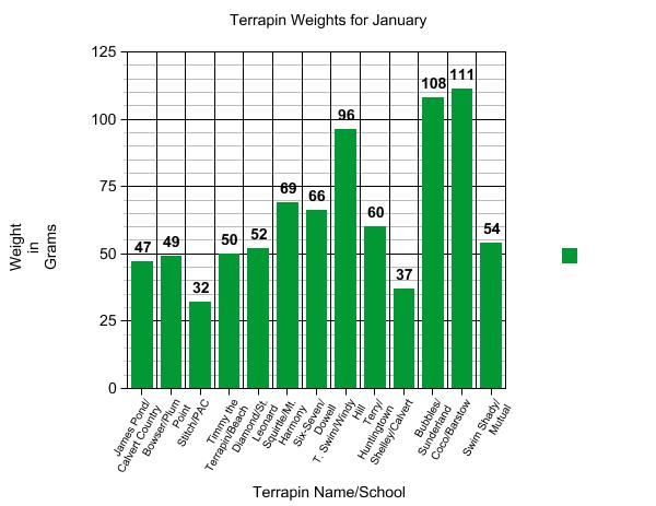 Graph of terrapin weights.