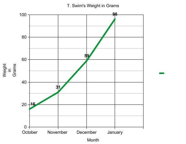 Graph of terrapin weight.