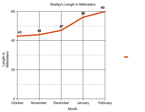 Graph of terrapin length.