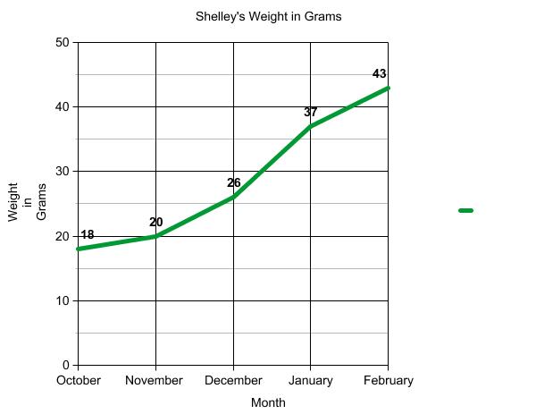 Graph of terrapin weight.