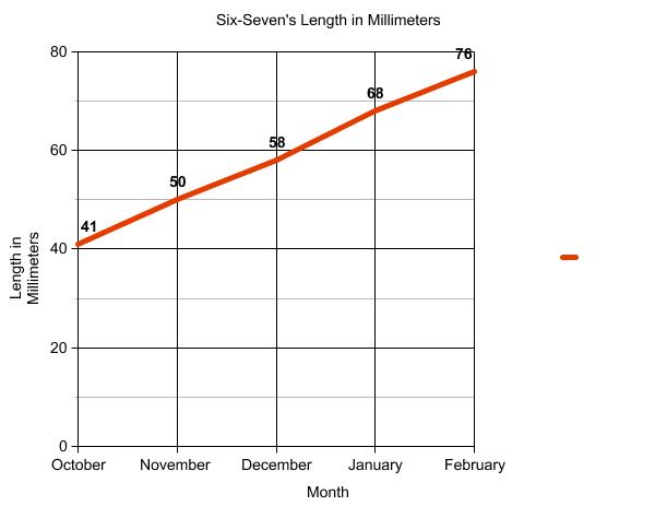 Graph of terrapin length.